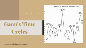 Gann Time Cycle